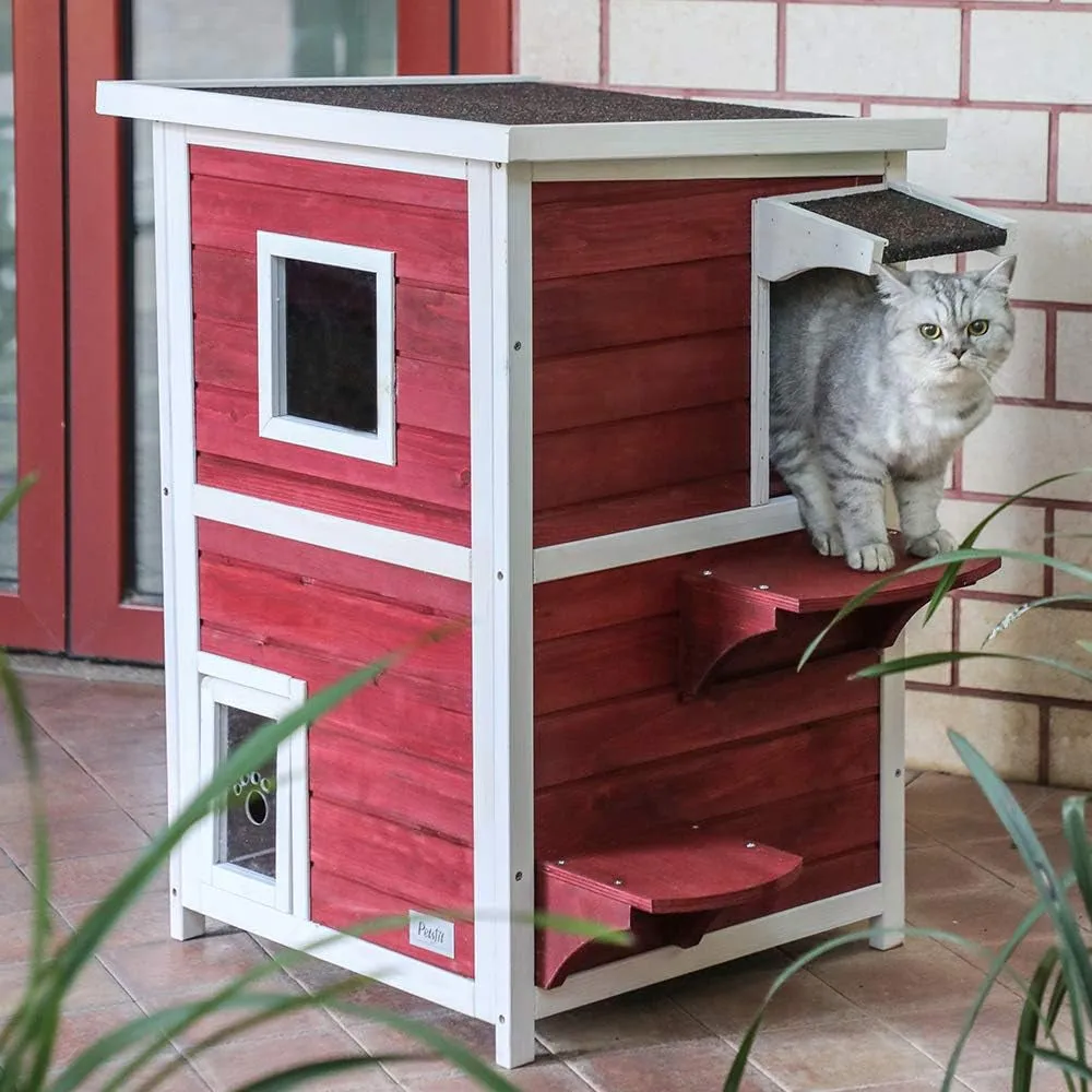 2 Story Outside Cat House