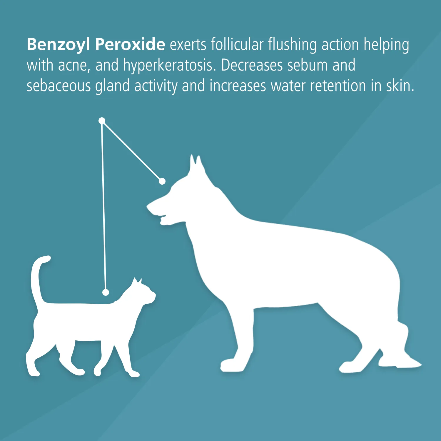 Benzoyl Peroxide Shampoo for Dogs and Cats – 12 oz