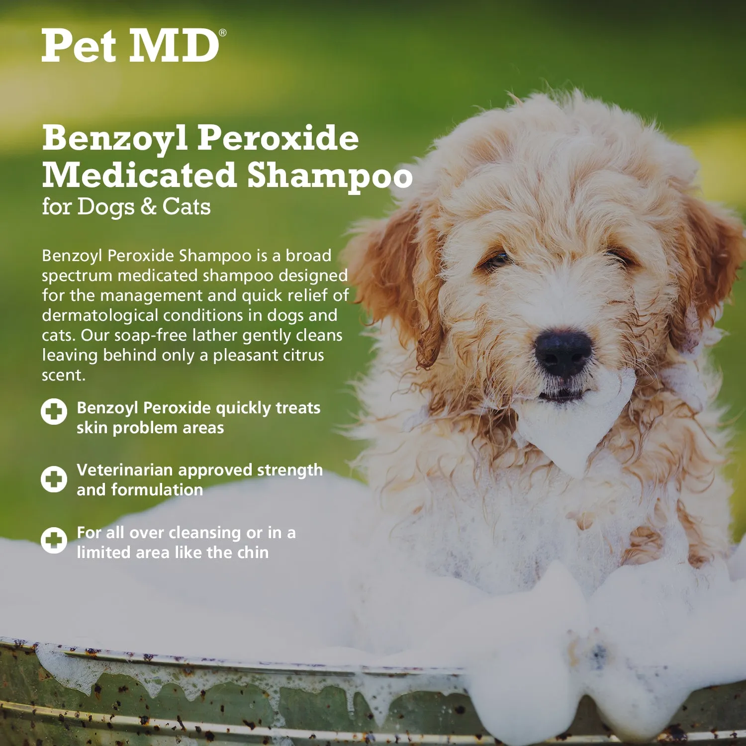 Benzoyl Peroxide Shampoo for Dogs and Cats – 12 oz