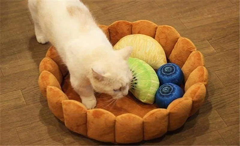 Fruit Tart Cat Bed Just For You