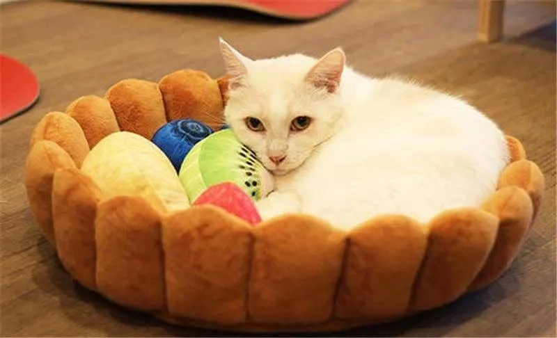 Fruit Tart Cat Bed Just For You