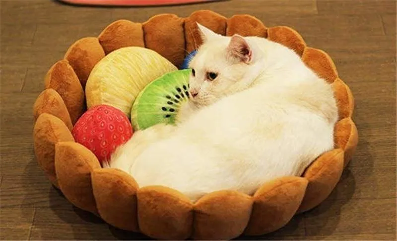 Fruit Tart Cat Bed Just For You