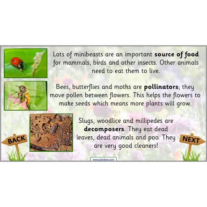 Pets and Gardens