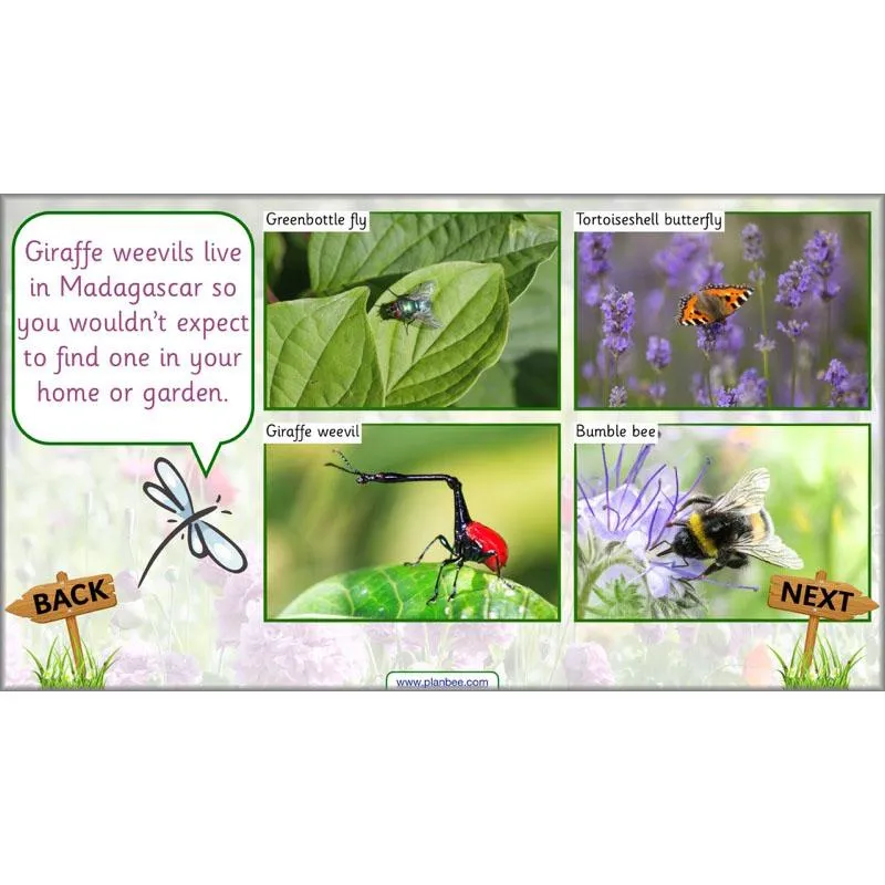 Pets and Gardens