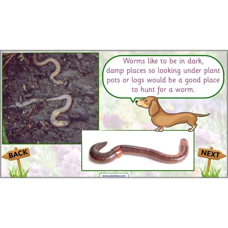 Pets and Gardens