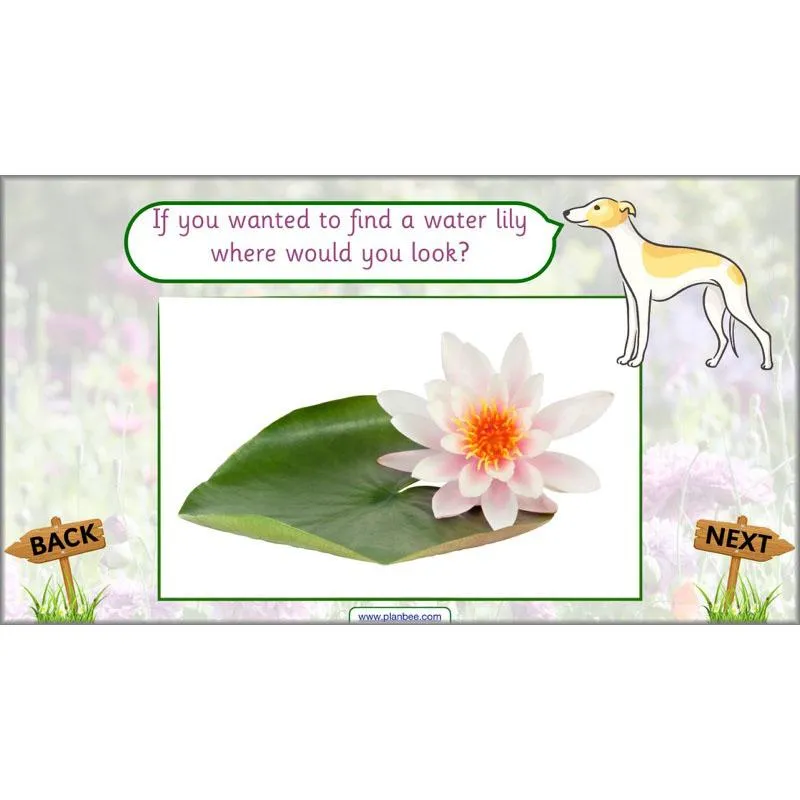Pets and Gardens