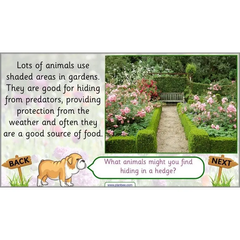 Pets and Gardens