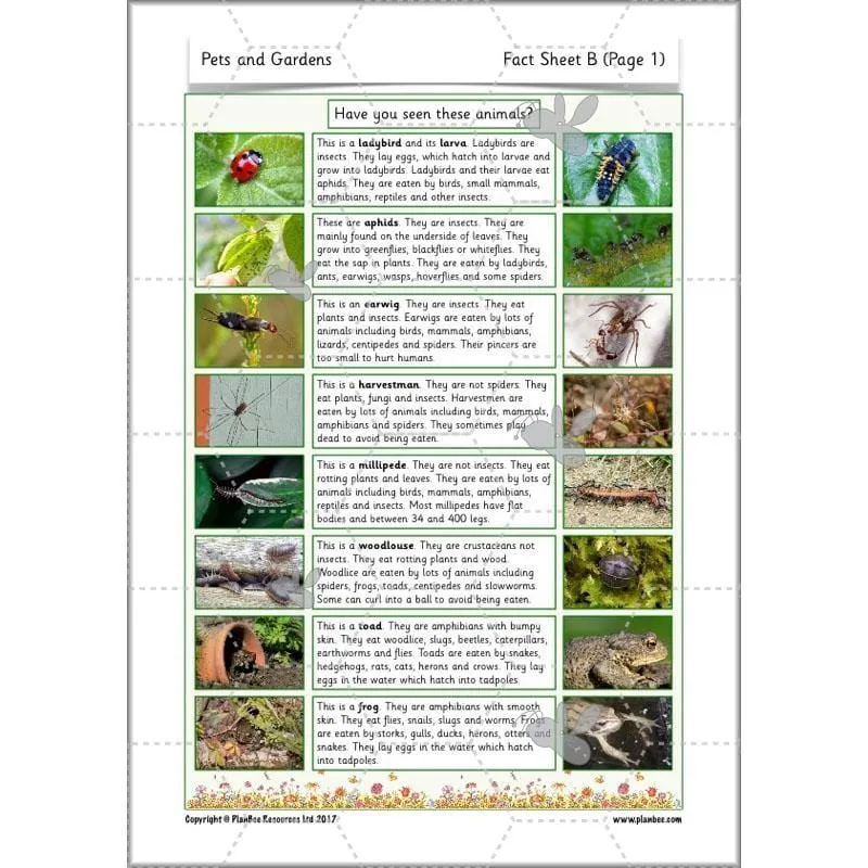 Pets and Gardens
