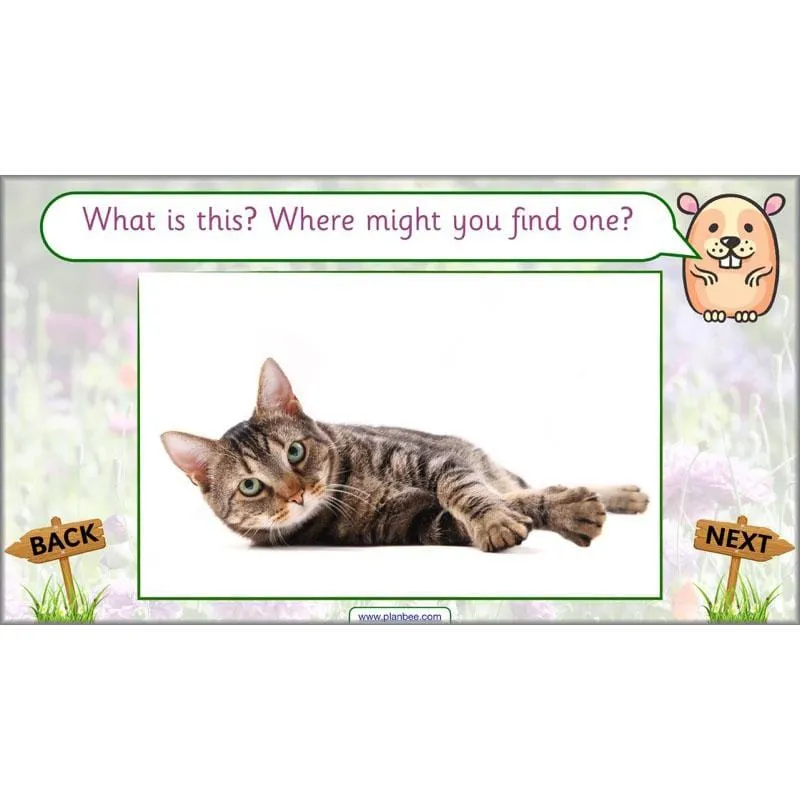 Pets and Gardens