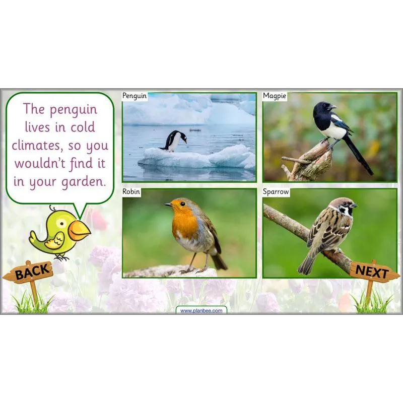 Pets and Gardens