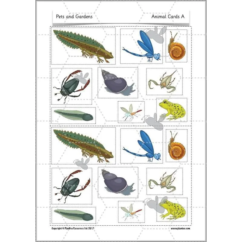 Pets and Gardens