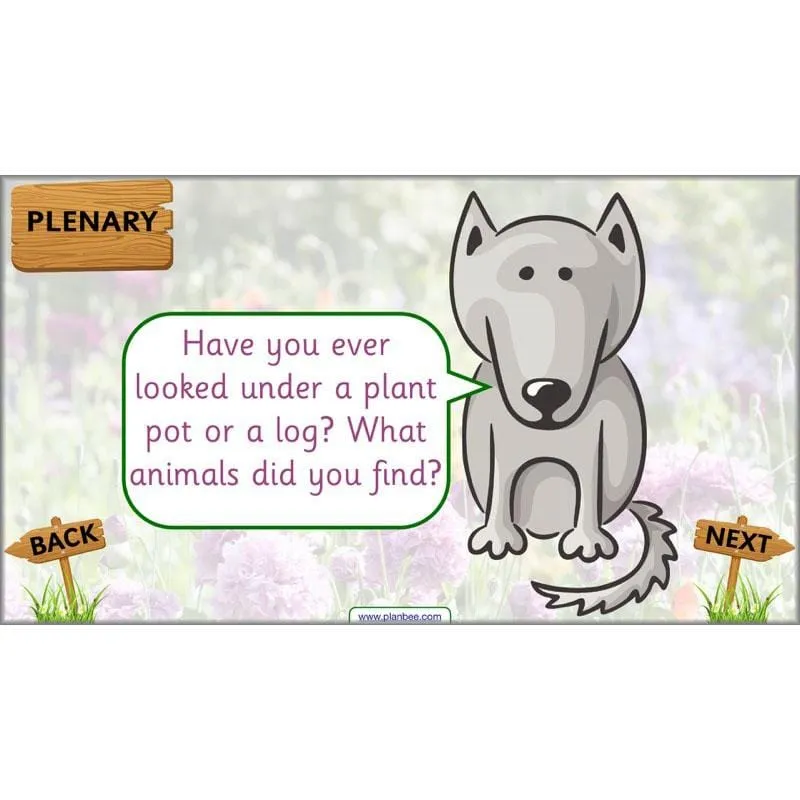 Pets and Gardens