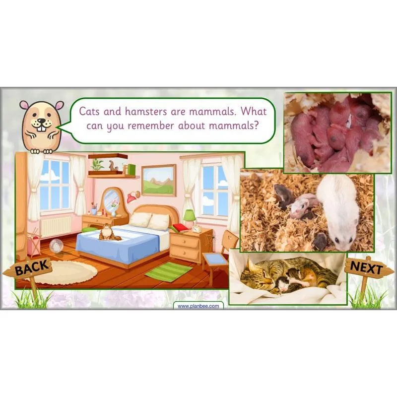 Pets and Gardens