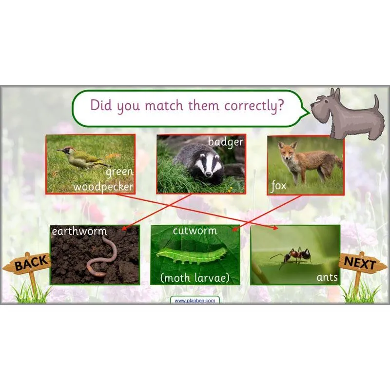 Pets and Gardens