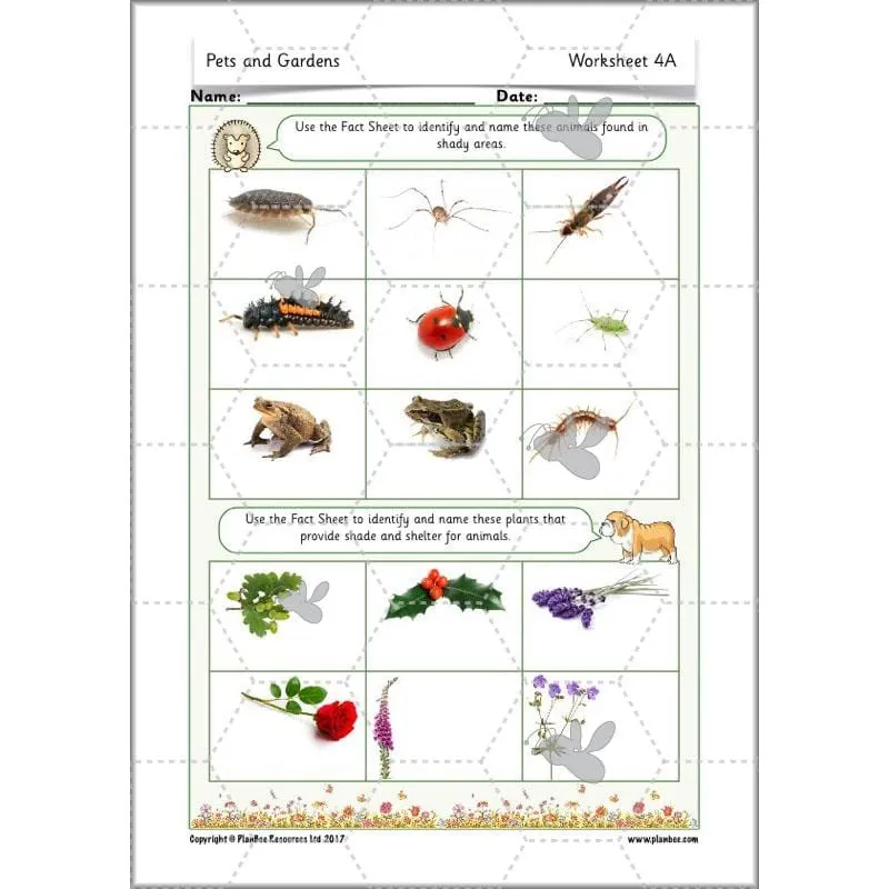 Pets and Gardens