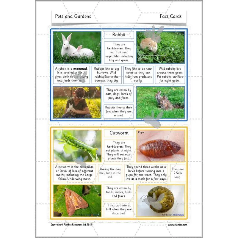Pets and Gardens