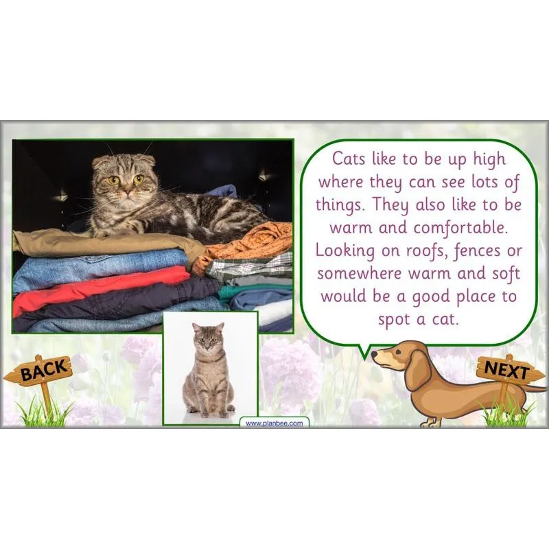 Pets and Gardens