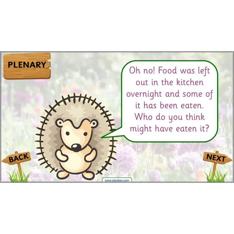 Pets and Gardens
