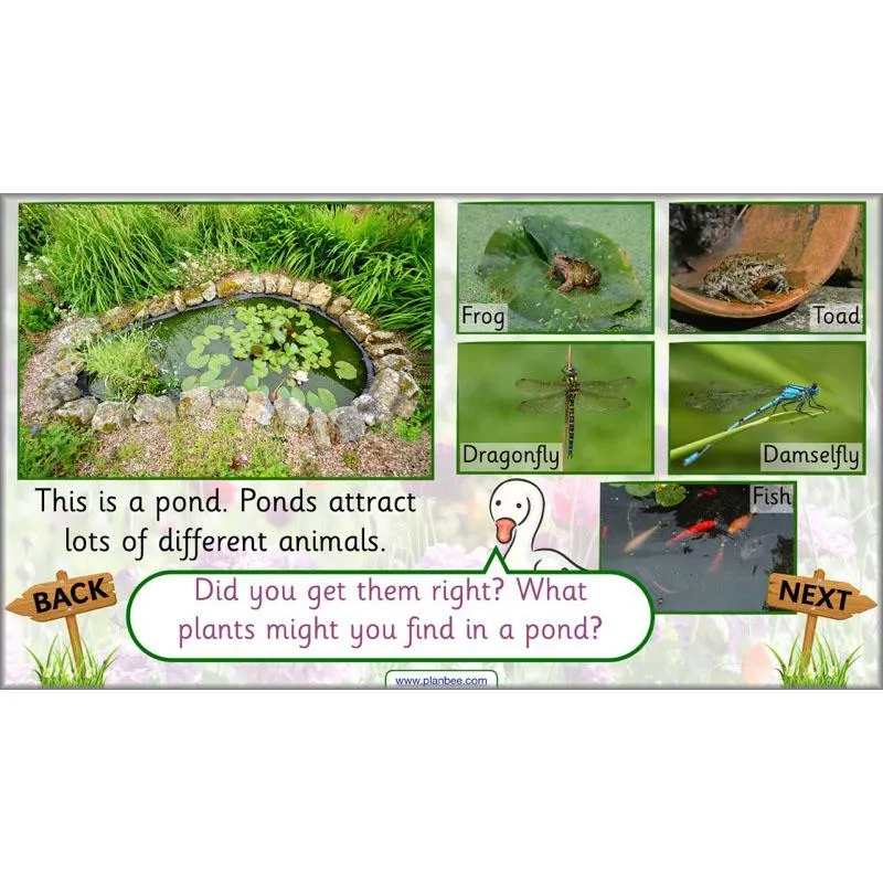 Pets and Gardens