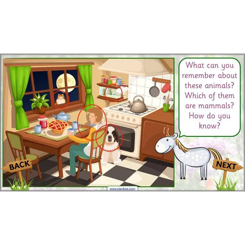 Pets and Gardens