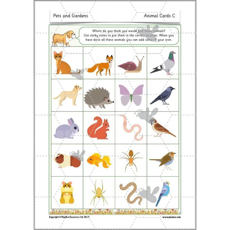 Pets and Gardens