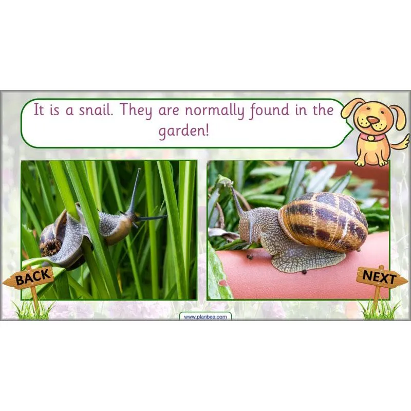 Pets and Gardens