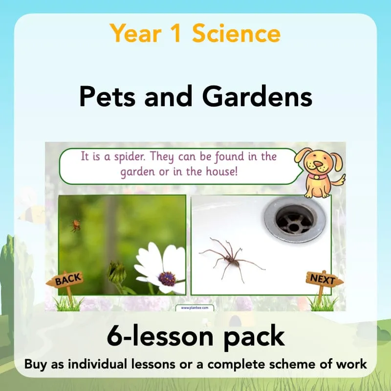 Pets and Gardens