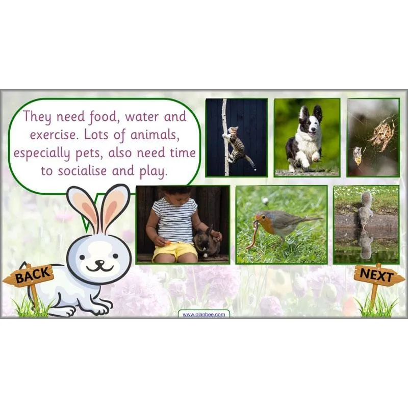 Pets and Gardens