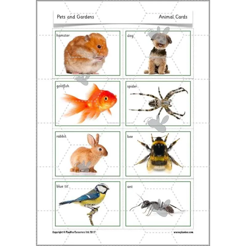 Pets and Gardens