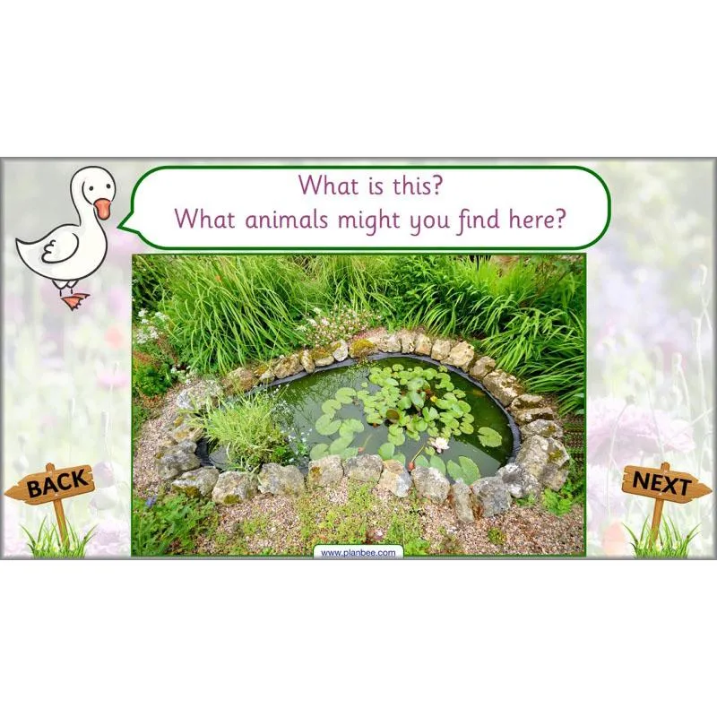 Pets and Gardens