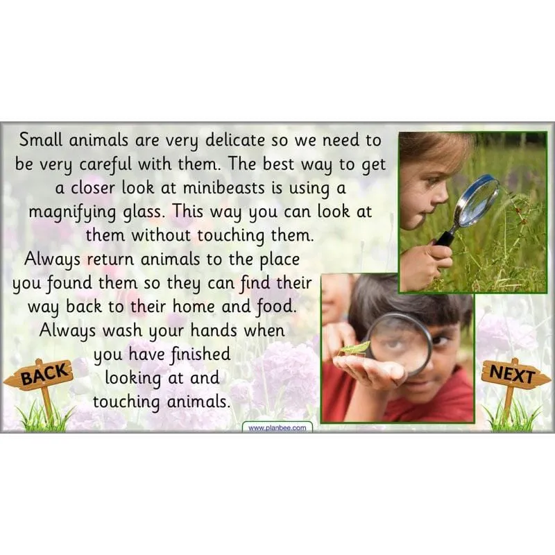 Pets and Gardens