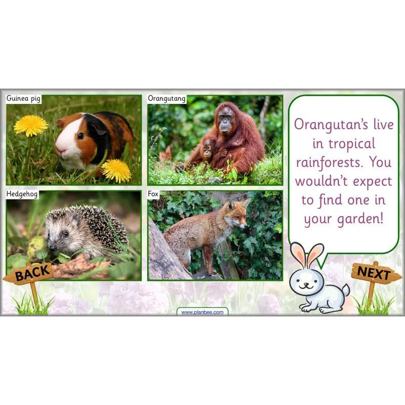 Pets and Gardens