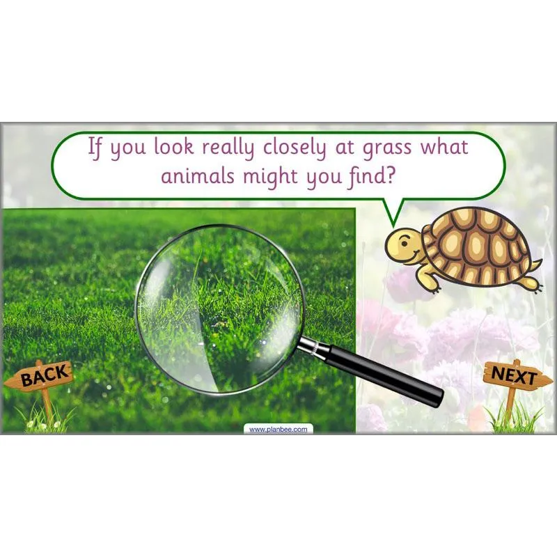 Pets and Gardens